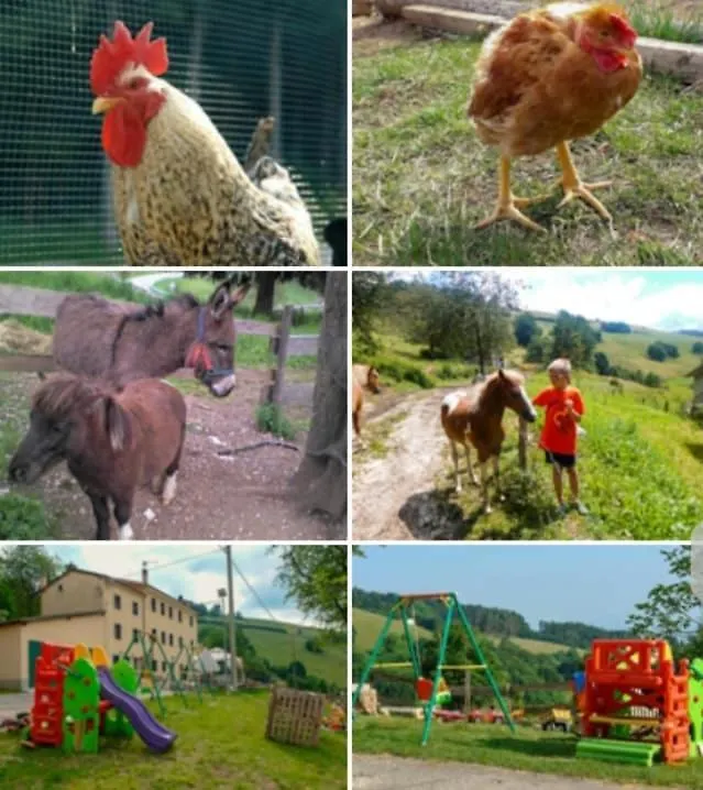 Bed & Breakfast Rugiada Country House Bed and Breakfast Conco Italia